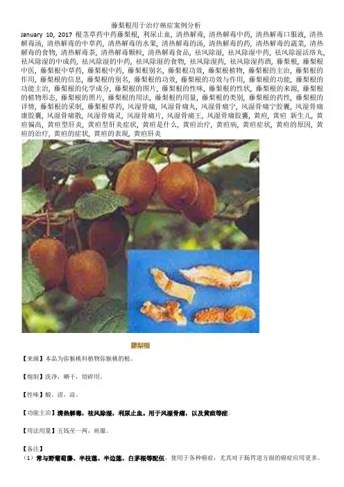 藤梨根用于治疗癌症案例分析