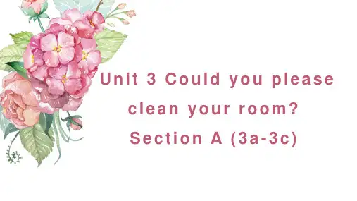 新人教版八年级英语下册Unit 3 Section A 3a-3c 课件(共23张PPT)