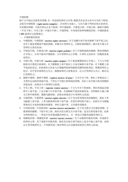 中缝核簇