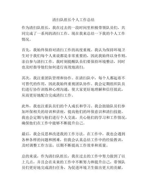 清扫队组长个人工作总结