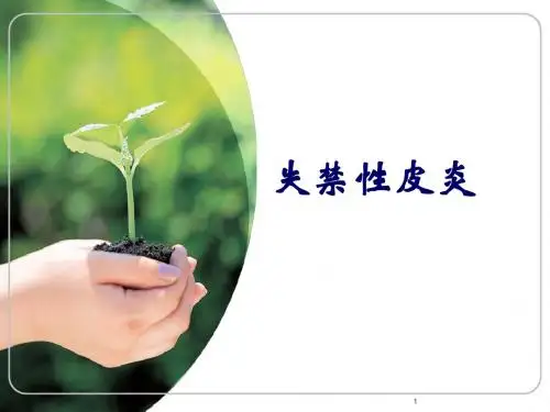 (医学课件)失禁性皮炎护理PPT幻灯片