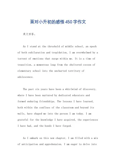面对小升初的感悟450字作文