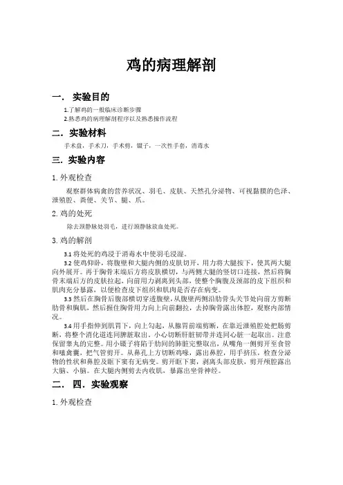 鸡病理解剖