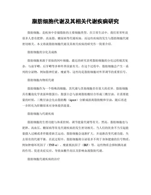 脂肪细胞代谢及其相关代谢疾病研究