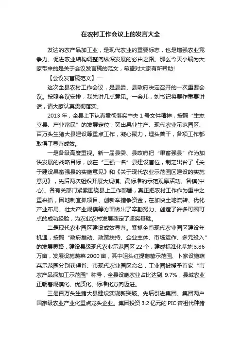 在农村工作会议上的发言大全