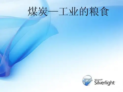能源概论 演讲课件 煤炭