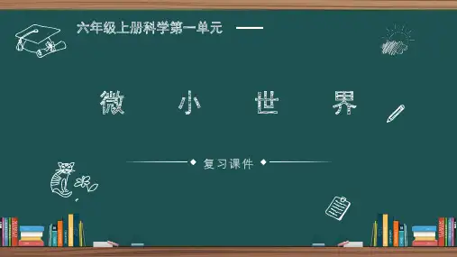 2024(教科版)科学六年级上册 第一单元 微小世界 复习课件