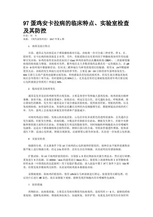 97蛋鸡安卡拉病的临床特点、实验室检查及其防控