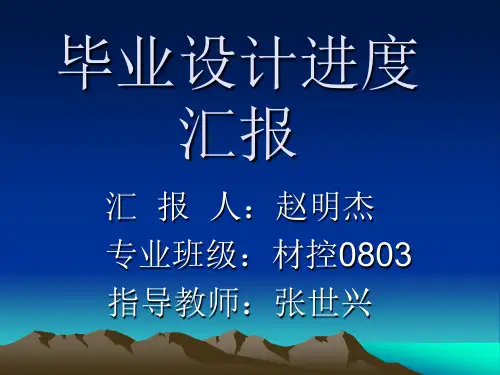 毕业设计进度汇报.ppt