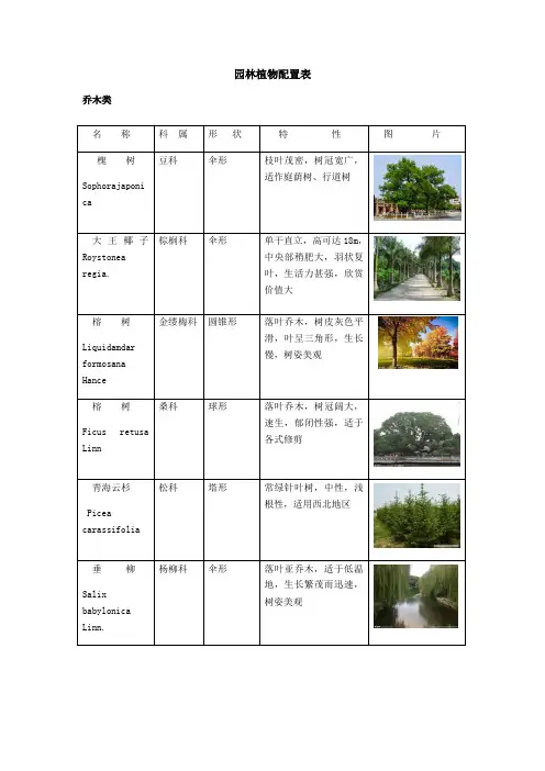 植物配置表