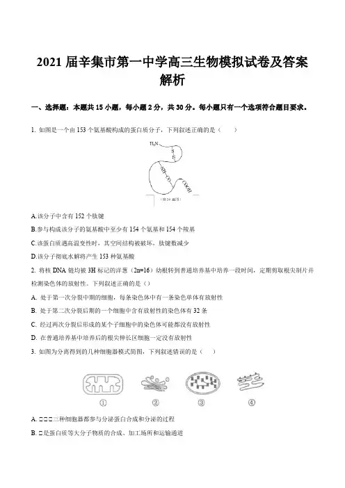 2021届辛集市第一中学高三生物模拟试卷及答案解析