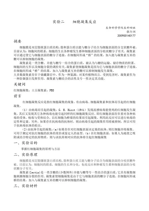 实验二 细胞凝集反应