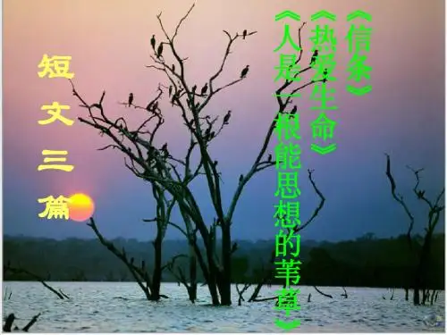 短文三篇