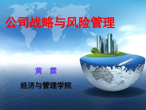 05战略分析与选择