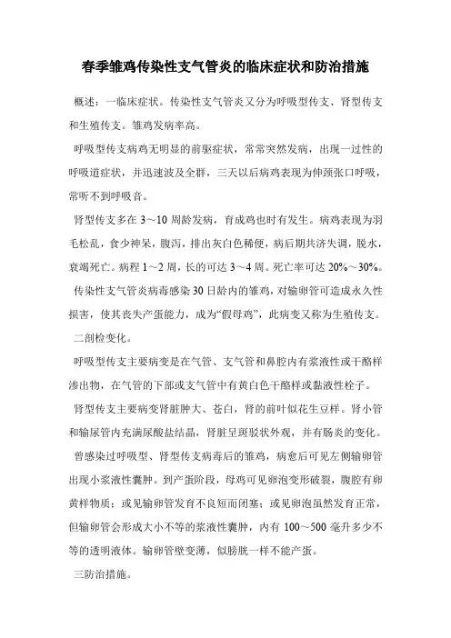 春季雏鸡传染性支气管炎的临床症状和防治措施.doc