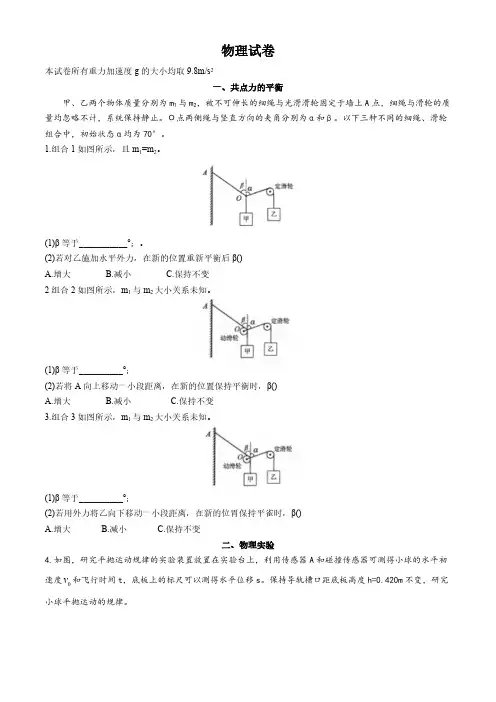 上海市上海交通大学附属中学2024-2025学年高三上学期摸底考试物理试卷(含答案)
