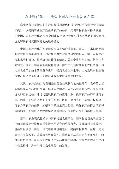 农业现代化——浅谈中国农业未来发展之路