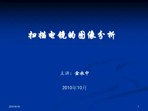 扫描电镜的图像分析