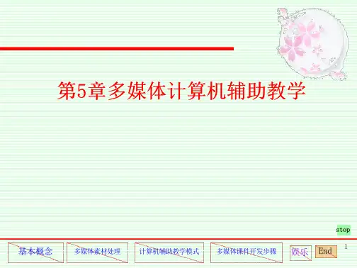 多媒体计算机辅助教学资料(74页)