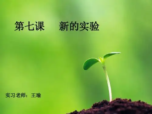 新的实验