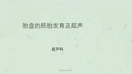 胎盘的发育及超声 课件