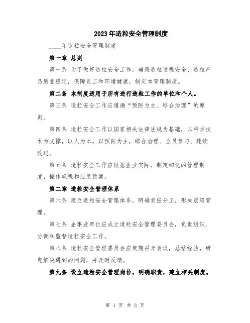 2023年造粒安全管理制度