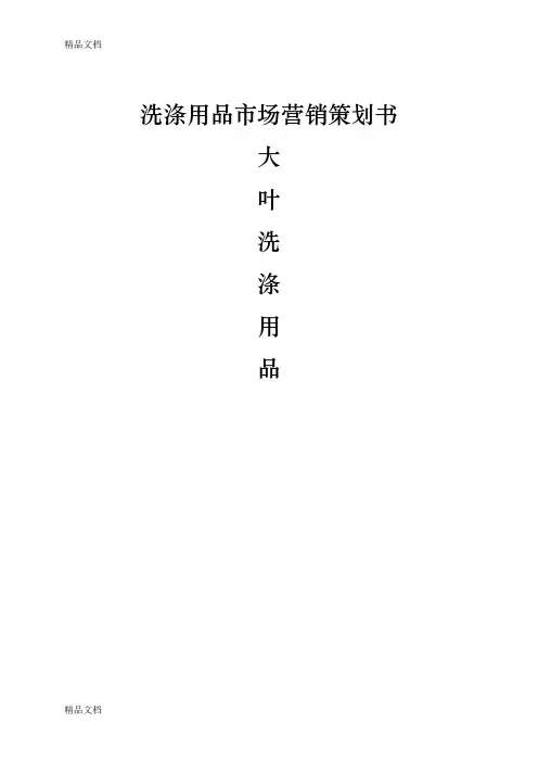 洗涤用品市场营销策划书教程文件