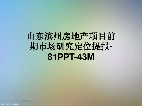 山东滨州房地产项目前期市场研究定位提报-81PPT-43M