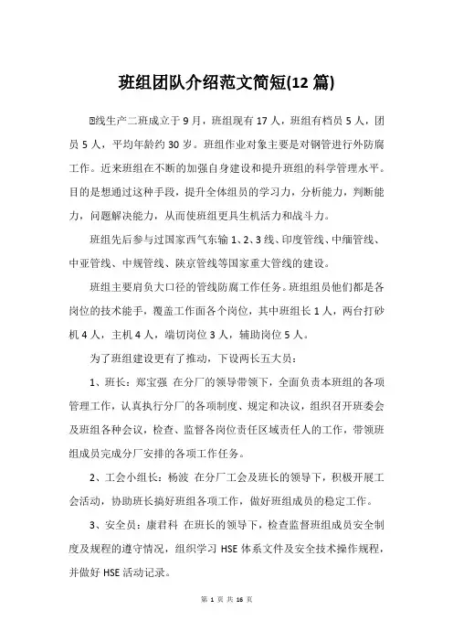 班组团队介绍范文简短(12篇)
