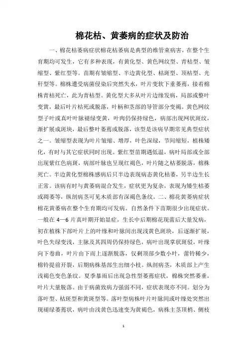 棉花枯、黄萎病的症状及防治