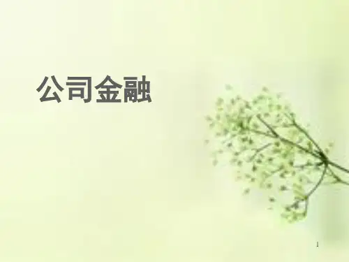 资本结构
