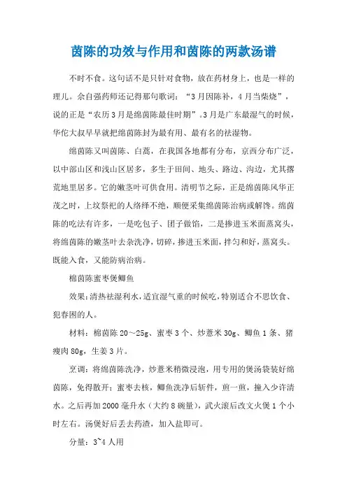 茵陈的功效与作用和茵陈的两款汤谱