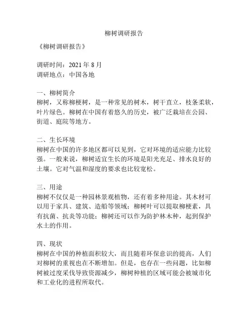 柳树调研报告