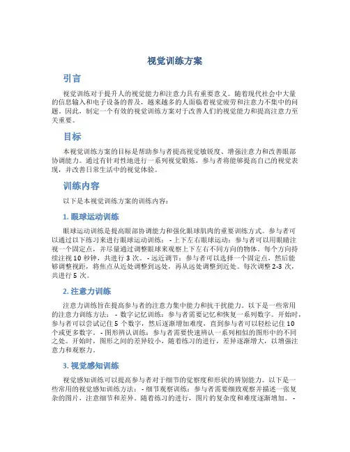 视觉训练方案