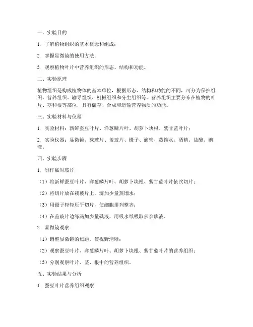 营养组织的观察实验报告