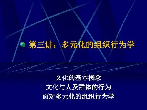 第三讲：多元化的组织行为学-PPT文档资料19页