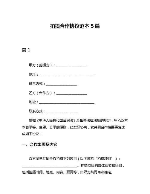 拍摄合作协议范本5篇