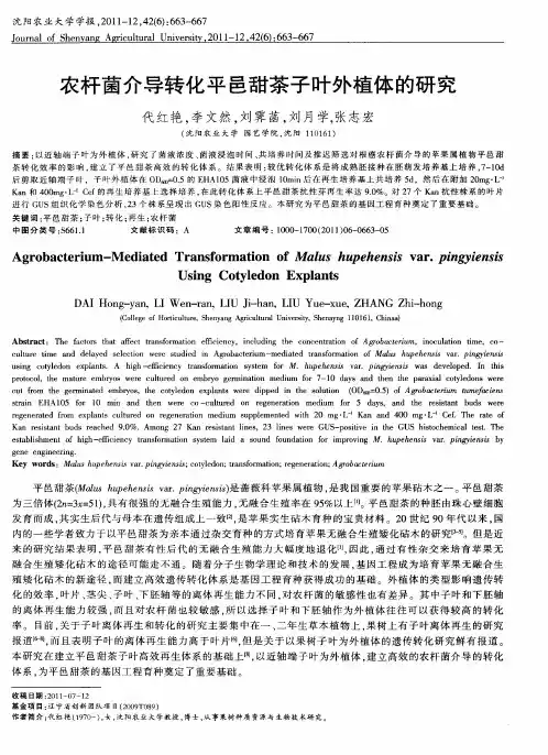 农杆菌介导转化平邑甜茶子叶外植体的研究