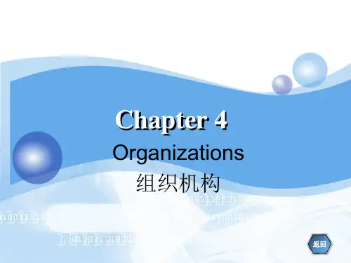 Chapter 4组织机构翻译