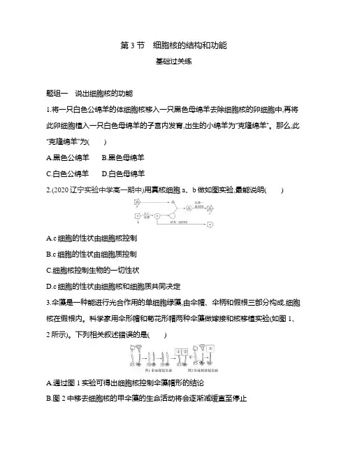 高中生物(新人教版)必修第一册同步习题：细胞核的结构和功能(同步习题)【含答案及解析】