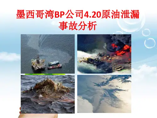 墨西哥湾BP公司漏油事故分析PPT
