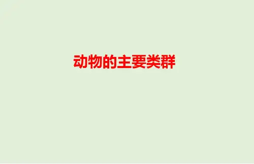 人教版生物中考教材梳理：动物的主要类群课件