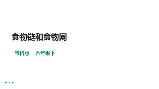 教科版五年级科学下册 《食物链和食物网》课件
