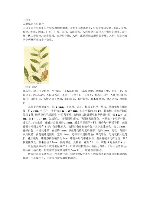 土茯苓