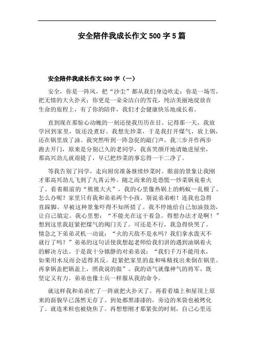 安全陪伴我成长作文500字5篇