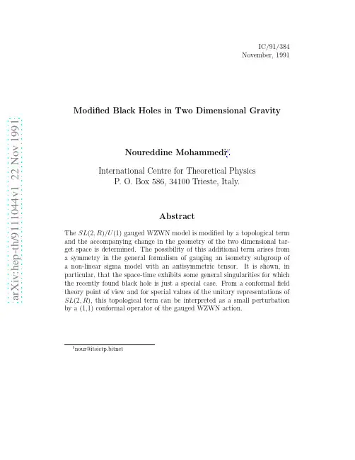 Modified Black Holes in Two Dimensional Gravity