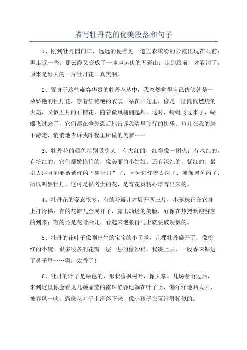 描写牡丹花的优美段落和句子