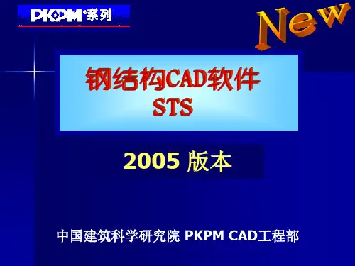 PKPMSTS介绍