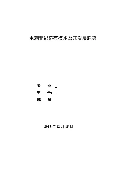 非织造水刺