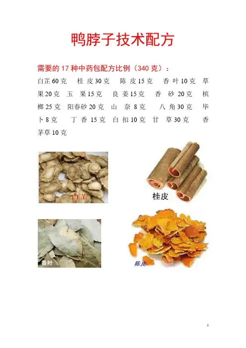 鸭脖子技术配方